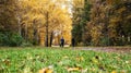 Running athletes in the park on a run in the early morning. Several children are running in the woods doing sports Royalty Free Stock Photo