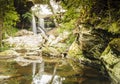 Beautiful forest waterfall and reflections with water. Royalty Free Stock Photo