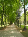 Forests next to the orangerie palace Potsdam Germany Royalty Free Stock Photo