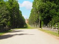 Forests next to the orangerie palace Potsdam Germany