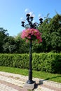 A beautiful forged lantern in an alley in the park, with a flower bed on it. Royalty Free Stock Photo