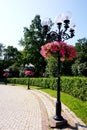 A beautiful forged lantern in an alley in the park, with a flower bed on it. Royalty Free Stock Photo