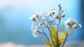 Beautiful forget me not blossoms against a blue sky. Generative AI Royalty Free Stock Photo