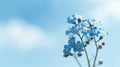 Beautiful forget me not blossoms against a blue sky. Generative AI Royalty Free Stock Photo