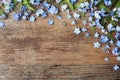 Beautiful forget-me-not flowers and space for text on wooden background Royalty Free Stock Photo