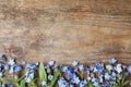 Beautiful forget-me-not flowers on wooden background, flat lay