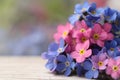 Beautiful Forget-me-not flowers on white wooden table, closeup. Space for text
