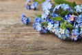 Beautiful forget-me-not flowers on wooden background Royalty Free Stock Photo