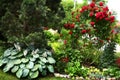 Beautiful formal garden close up photo Royalty Free Stock Photo