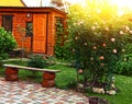 Beautiful formal garden with log bench and roses Royalty Free Stock Photo