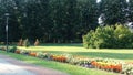 Beautiful formal garden, park with trees, bush, flowers and architecture in medical wellness center Banja Koviljaca