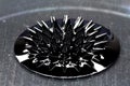 Beautiful forms of ferromagnetic fluid. Royalty Free Stock Photo