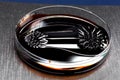 Beautiful forms of ferromagnetic fluid. Iron dissolved in a liqu Royalty Free Stock Photo