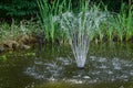 Beautiful fountain in garden pond against background of emerald green of shady summer garden. Freshness of water jets Royalty Free Stock Photo