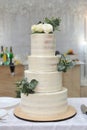 A beautiful four-tiered wedding cake decorated with cream, eucalyptus twigs and rose flowers. Close-up Royalty Free Stock Photo