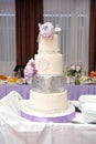 Beautiful four-tiered wedding cake decorated with mastic and peonies. Close-up Royalty Free Stock Photo