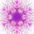 Beautiful fractal flower in purple and pink. Computer generated Royalty Free Stock Photo