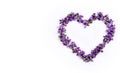 Delicate spring violets in the shape of a heart on a white background close up Royalty Free Stock Photo