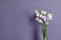 Beautiful fragrant freesia flowers in vase