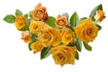 Beautiful frame with bouquet of yellowish orange roses isolated on white background Royalty Free Stock Photo