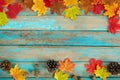 Beautiful frame composed of autumn maple leaves with pine cones on wood plank.