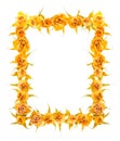 Beautiful frame of dried yellow rose flowers is isolated on whit