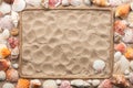 Beautiful frame of rope and sea shells on the sand Royalty Free Stock Photo