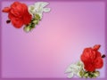 Beautiful frame with white and red flowers. Background with pink shades.