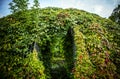 Beautiful framework covered by vegetation close-up photo Royalty Free Stock Photo