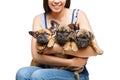 French bulldog puppies on girl knees Royalty Free Stock Photo