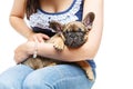 French bulldog puppy on girl knees Royalty Free Stock Photo