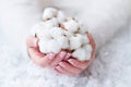 Beautiful French manicure and cotton flower