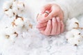 Beautiful French manicure and cotton flower