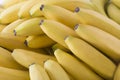 Beautiful fresh bananas