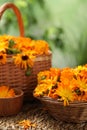 Beautiful fresh calendula flowers on table against blurred green background Royalty Free Stock Photo