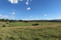 A beautiful fresh colorful photo of a sheep farm in South Africa with lush green pasture landscapes, short cut grass walkways