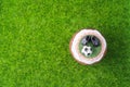 Beautiful fresh Cupcake in a football style on a green lawn
