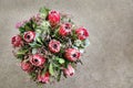 Beautiful fresh flower arrangement of Protea macrocephala flowers. Royalty Free Stock Photo