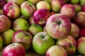 Beautiful fresh fruit at the local market Royalty Free Stock Photo