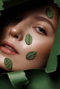 Beautiful fresh girl with perfect skin, natural make up and green leaves. Beauty face. Close up Royalty Free Stock Photo