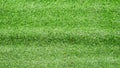 Artificial green grass or sport field texture background. Royalty Free Stock Photo