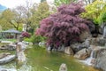 Beautiful fresh japanese style garden with pond and small waterfall for background Royalty Free Stock Photo