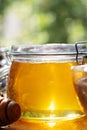 beautiful fresh natural golden linden honey in big glass jar at wooden tray in beautiful sunny light. close up