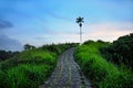 Beautiful and fresh nature landscape scenic view of Ubud ridge walk trekking and hiking path on sunset with palm tree under a blue