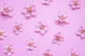 Beautiful fresh peach flower pattern on pink background.  Symbol of life beginning and the awakening of nature Royalty Free Stock Photo