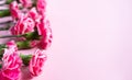 Pink clove flowers