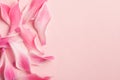 Beautiful fresh pink flower petals on pastel rose background, top view Royalty Free Stock Photo