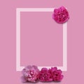 Beautiful fresh pink peony flowers in full bloom on light pink background. Floral flat lay, top view. Copy space for text. Mother Royalty Free Stock Photo