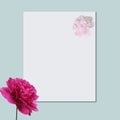 Beautiful fresh pink peony flowers in full bloom on light blue background. Floral flat lay, top view. Copy space for text. Mother Royalty Free Stock Photo