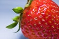 Beautiful fresh red strawberry on gray background macro close up texture Royalty Free Stock Photo